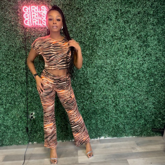 Zebra 2pc Set